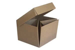 Caja Sorpresa Natural (Paquete 12 piezas)