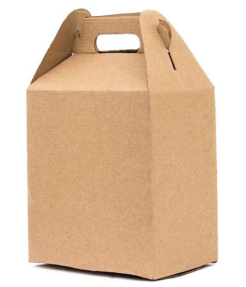 Caja Lunch Box Grande 22x20x15 cm (Paquete 12 piezas)