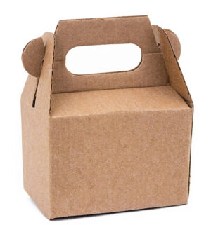 Caja Lunch Box Chico 18x12x20 cm(Paquete 12 Piezas)