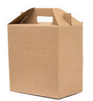 Caja Lunch Box Extra Grande 30x30x20 cm (Paquete 12 piezas)