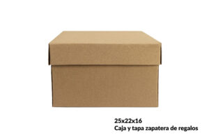 Caja y tapa zapatera de regalos 25x22x16 cm (Paquete 12 piezas)