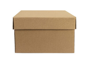 Caja y tapa zapatera de regalos 25x22x16 cm (Paquete 12 piezas)