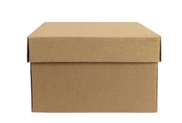 Caja y tapa zapatera de regalos 25x22x16 cm (Paquete 12 piezas)