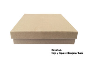 Caja y tapa rectangular baja 27x25x6 cm (Paquete 12 piezas)