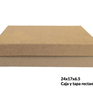 Caja y tapa rectangular baja 27.5x25x6.5 cm (Paquete 12 piezas)