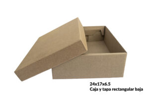 Caja y tapa rectangular baja 24x17x6.5 cm (Paquete 12 piezas)