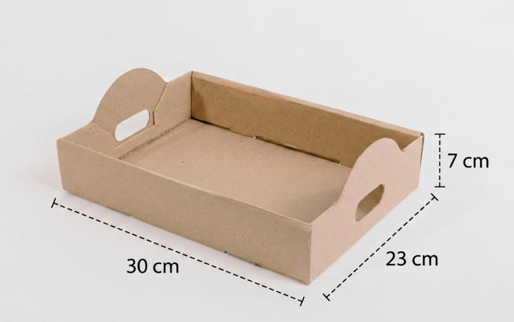 Paquete de 20 Charolas de carton de 30x23x7 cm.